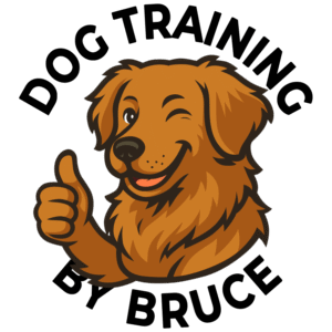 dog training by bruce logo black